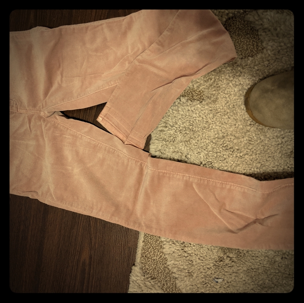 Loft skinny cords
